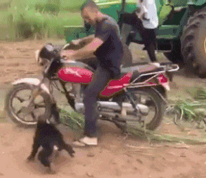 当打开窗户的那一刻，姑娘应该尴尬了